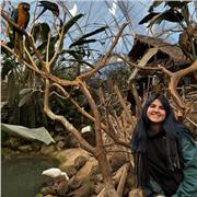 Clases particulares de Inglés, todos los niveles a adultos y niños